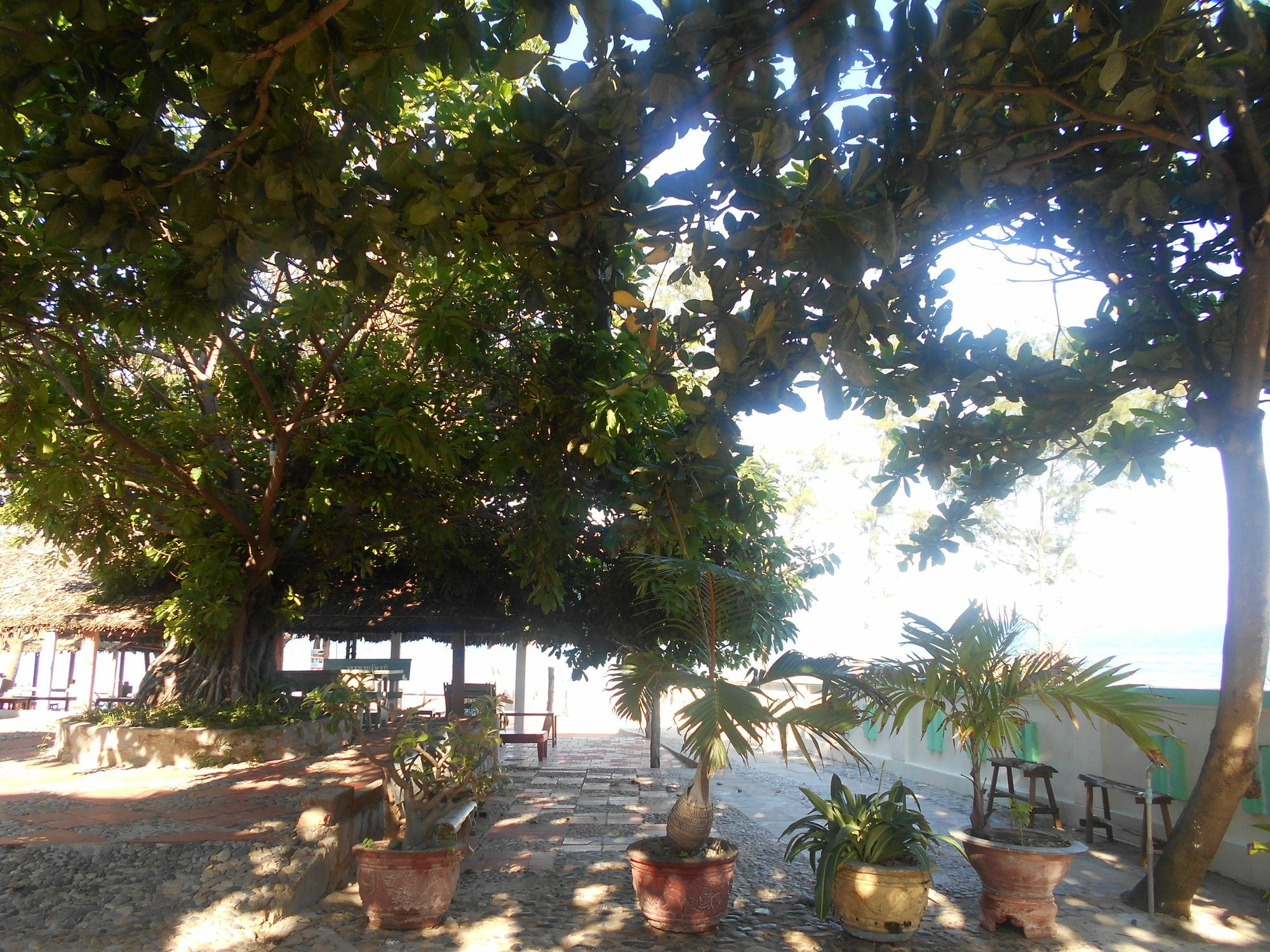 Suoi Nuoc Resort Mũi Né Exterior foto